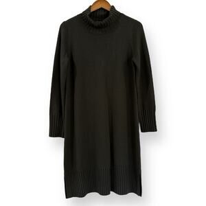 Eileen Fisher Italian Merino Wool Turtleneck Long Sleeve Sweater Dress XS Green